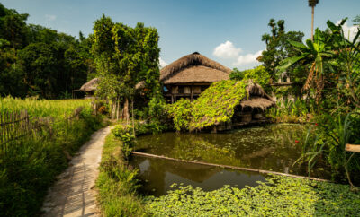Homestay Trends: What’s New in the World of Travel Accommodation